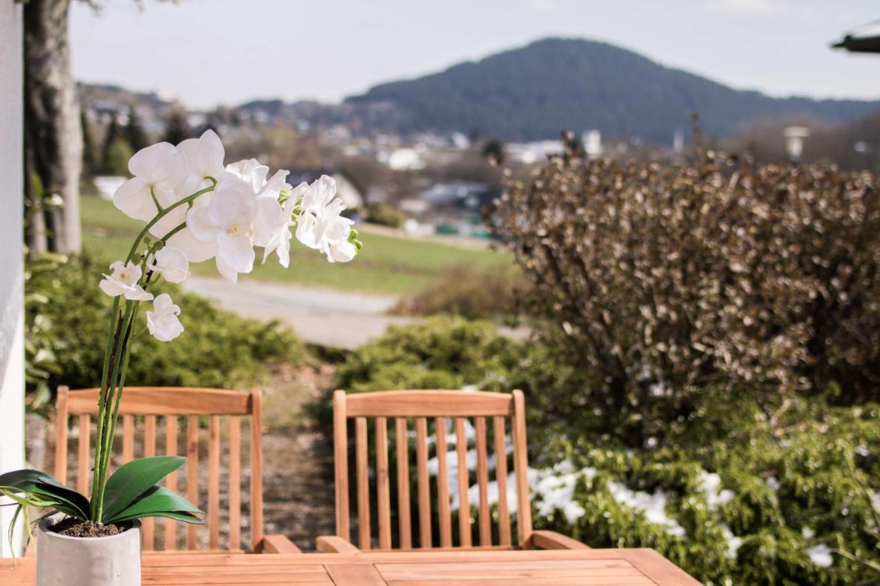 Xenos Appartement Willingen (Upland)